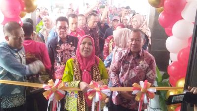 Wali Kota Bandar Lampung Resmikan Puskesmas Sukarame