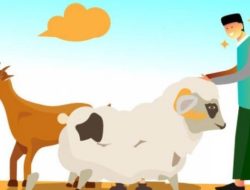 Jelang Iduladha, Dinas Pertanian Kota Pantau Kesehatan Hewan Kurban Sapi dan Kambing