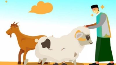 Pemkot Bandar Lampung Kurban 54 Sapi dan 36 Kambing pada Perayaan Iduladha 1445 H