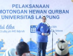 Unila Adakan Kurban 32 Sapi dan 17 Kambing