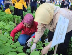 Unila Panen Raya Sayuran Sambut Dies Natalis ke-59