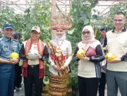 Kepala Disdikbud Lampung Panen Raya Buah Melon di SMA Hang Tuah Prokimal