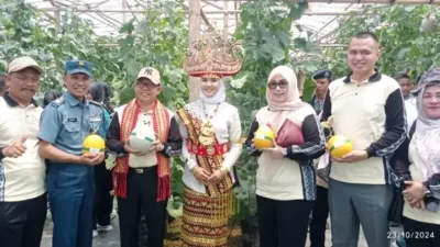 Kepala Disdikbud Lampung Panen Raya Buah Melon di SMA Hang Tuah Prokimal