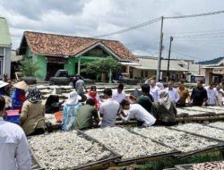 Pemkot Bandar Lampung Perkuat Sentra Kuliner Pengolahan Ikan di Pulau Pasaran