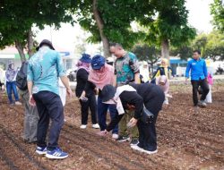 DWP Gelar Lomba Menanam Sayuran, Wujudkan Ketahanan Pangan Berkelanjutan