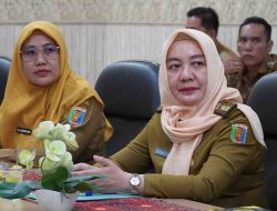 Pemprov Lampung Ikuti Rakor Pengendalian Inflasi Daerah, Fokus Komoditas Pangan dan Dukungan Kebijakan Nasional