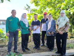 Dukung Ketahanan Pangan Nasional, Disdikbud Tanam Jagung di Pekarangan Kantor