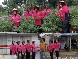 Manfaatkan Lahan Kosong Polsek Kalianda Panen Terong Dibagikan Gratis Untuk Masyarakat