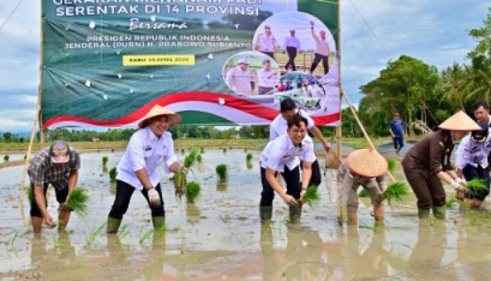 Bupati Lampung Selatan Ikuti Gerakan Tanam Padi Serentak, Wujudkan Ketahanan Pangan