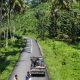 Pemprov Lampung Siap Berkolaborasi Tangani Jembatan Viral di Pematang Sawa
