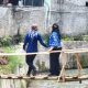 Pemkot Rehab Jembatan Kali Balau Kencana Bandar Lampung