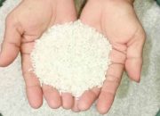 Pemkot Bandar Lampung Kembali Akan Salurkan Beras Bapanas