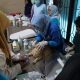 Lampung Mantapkan Swasembada Protein Hewani, Targetkan Zero Rabies 2030