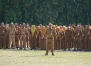 Menuju Lampung Lumbung Pangan Nasional, Gubernur Dorong Sinergi Pembangunan Perkebunan Berkelanjutan