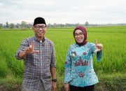 Tinjau Buay Bahuga, Gubernur Rahmat Mirzani Djausal Tawarkan Solusi Konkret Infrastruktur dan Pemulihan Lahan Tani