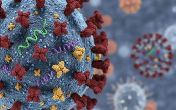 Dinas Kesehatan Imbau Warga Bandar Lampung Jaga Kebersihan Lingkungan Guna Cegah Virus H3N2