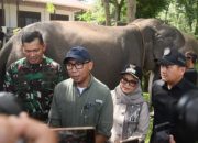 Ketua DPRD Lampung: Atensi Presiden Jadikan Way Kambas Percontohan Nasional Harus Dikawal Bersama