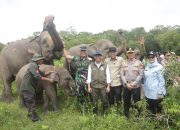 Dari Konflik Gajah hingga Dana Minim, Way Kambas Jadi Titik Balik Kebijakan Konservasi