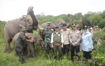 Dari Konflik Gajah hingga Dana Minim, Way Kambas Jadi Titik Balik Kebijakan Konservasi