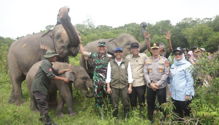 Dari Konflik Gajah hingga Dana Minim, Way Kambas Jadi Titik Balik Kebijakan Konservasi
