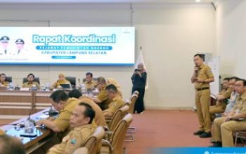 Halo Lamsel Masuki Tahap Uji Coba, Pemkab Lampung Selatan Siapkan Layanan Publik Digital Terintegrasi