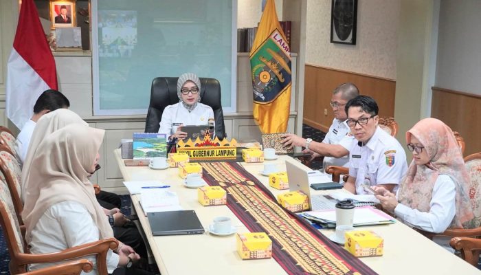 Wagub Jihan Perkuat Strategi Penanggulangan TBC, Lampung Selatan Jadi Prioritas