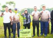 Eva Dwiana Hadiri Senam Bersama dan Aksi Tanam Pohon Bersama Kepala Daerah se-Indonesia