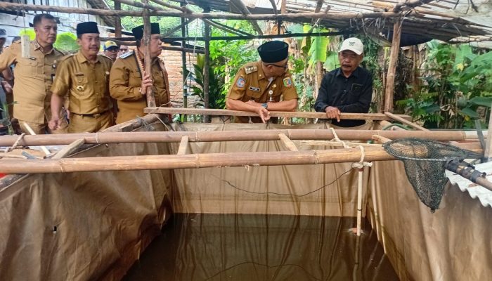 Uji Coba PHC Berhasil, Pemprov Lampung Percepat Inovasi untuk Petani