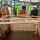 Uji Coba PHC Berhasil, Pemprov Lampung Percepat Inovasi untuk Petani
