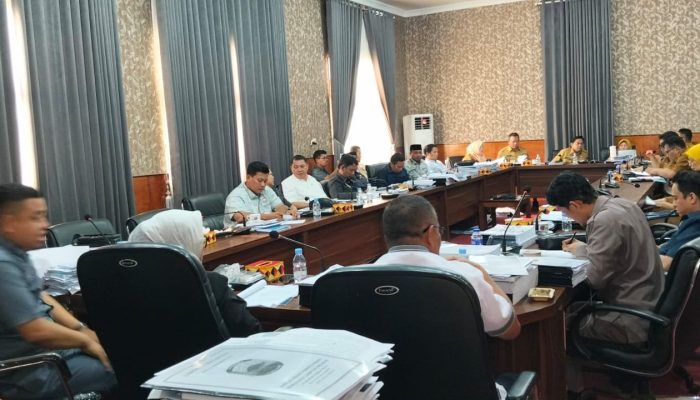Bahas Pertanggungjawaban APBD 2025, Banggar DPRD Lamsel Minta Program UMKM Lebih Tepat Sasaran