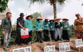 TP PKK Lampung Perkuat Pembangunan dari Keluarga, Desa TAPIS dan Sekolah Lansia Resmi Diluncurkan