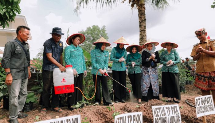 TP PKK Lampung Perkuat Pembangunan dari Keluarga, Desa TAPIS dan Sekolah Lansia Resmi Diluncurkan