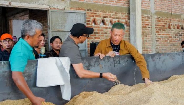 Gabah Tak Lagi Dijual Basah, Sumber Agung Siapkan Jalan Baru Petani