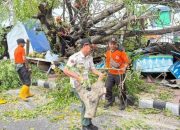 Waspada Pohon Tumbang, Pemkot Bergerak Sebelum Musibah Terjadi