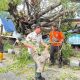 Waspada Pohon Tumbang, Pemkot Bergerak Sebelum Musibah Terjadi